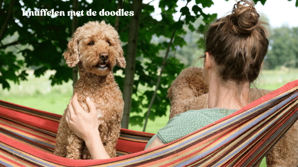 knuffelen met de doodles